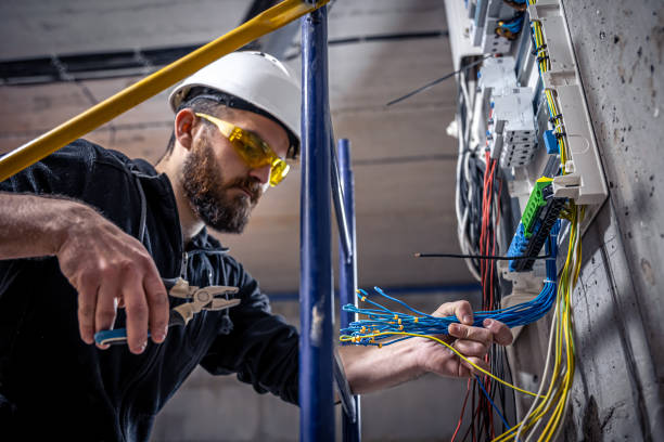 Best Generator Installation Services  in Hamlin, WV