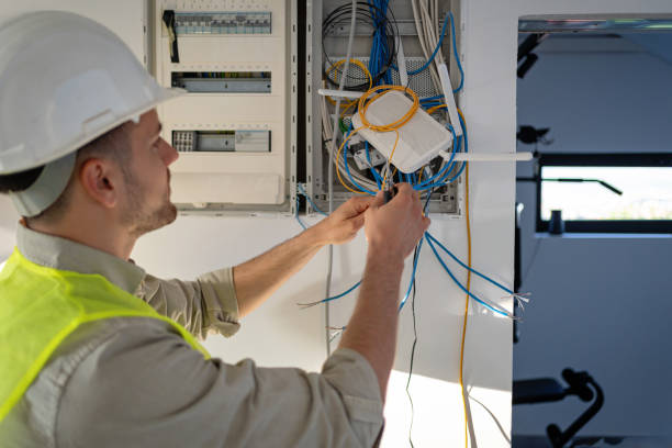 Best Electric Panel Repair  in Hamlin, WV